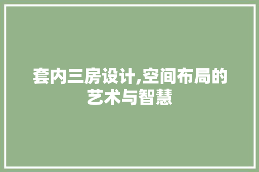 套内三房设计,空间布局的艺术与智慧
