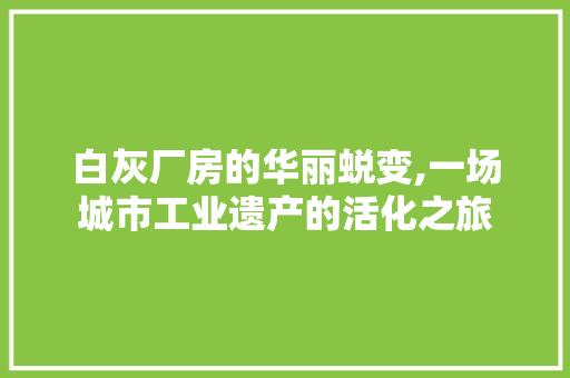 白灰厂房的华丽蜕变,一场城市工业遗产的活化之旅