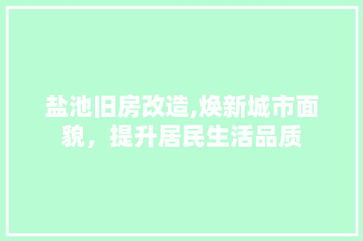 盐池旧房改造,焕新城市面貌，提升居民生活品质