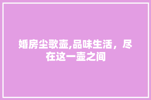 婚房尘歌壶,品味生活，尽在这一壶之间