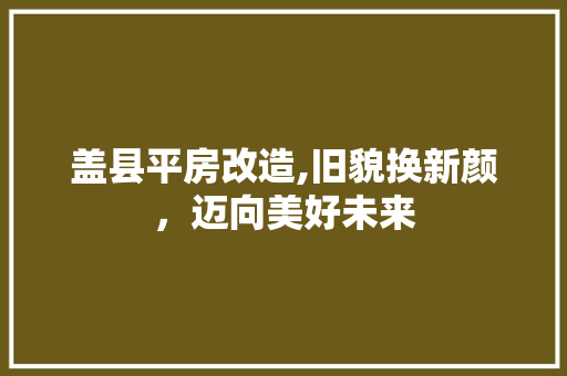 盖县平房改造,旧貌换新颜，迈向美好未来