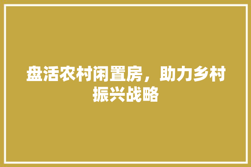 盘活农村闲置房，助力乡村振兴战略