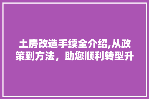 土房改造手续全介绍,从政策到方法，助您顺利转型升级
