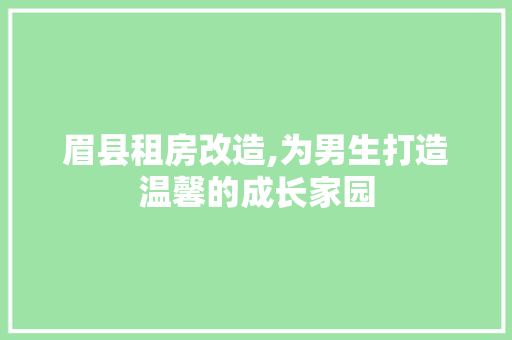 眉县租房改造,为男生打造温馨的成长家园