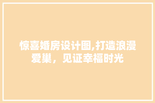 惊喜婚房设计图,打造浪漫爱巢，见证幸福时光