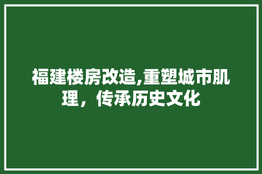福建楼房改造,重塑城市肌理，传承历史文化
