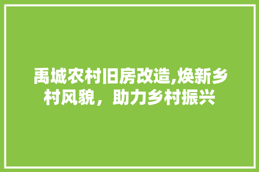 禹城农村旧房改造,焕新乡村风貌，助力乡村振兴
