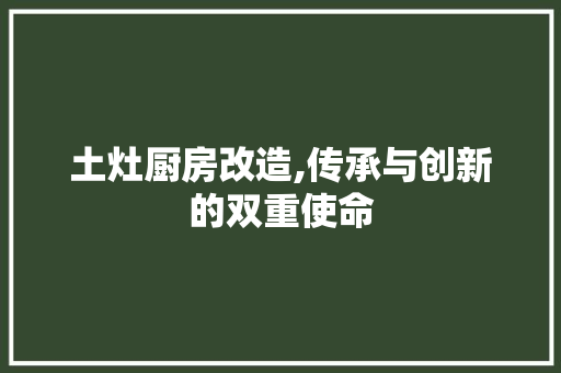 土灶厨房改造,传承与创新的双重使命