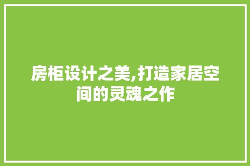 房柜设计之美,打造家居空间的灵魂之作