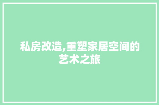 私房改造,重塑家居空间的艺术之旅