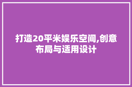 打造20平米娱乐空间,创意布局与适用设计