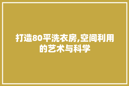 打造80平洗衣房,空间利用的艺术与科学