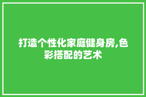 打造个性化家庭健身房,色彩搭配的艺术