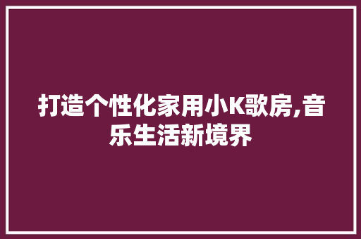 打造个性化家用小K歌房,音乐生活新境界