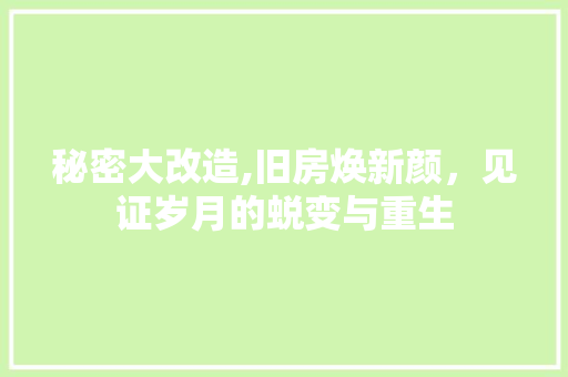 秘密大改造,旧房焕新颜，见证岁月的蜕变与重生