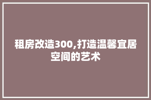 租房改造300,打造温馨宜居空间的艺术