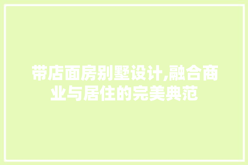带店面房别墅设计,融合商业与居住的完美典范