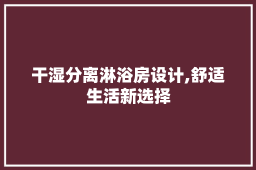 干湿分离淋浴房设计,舒适生活新选择
