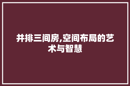 并排三间房,空间布局的艺术与智慧