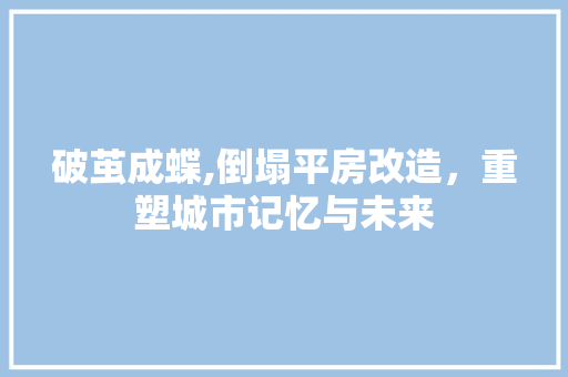 破茧成蝶,倒塌平房改造，重塑城市记忆与未来