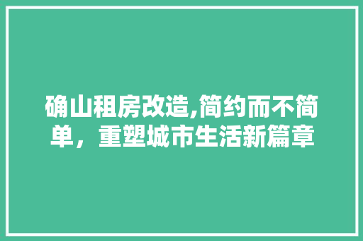 确山租房改造,简约而不简单，重塑城市生活新篇章
