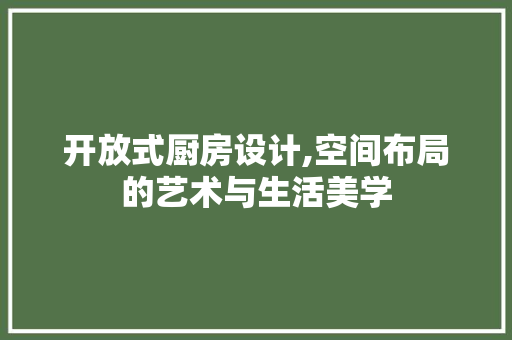 开放式厨房设计,空间布局的艺术与生活美学