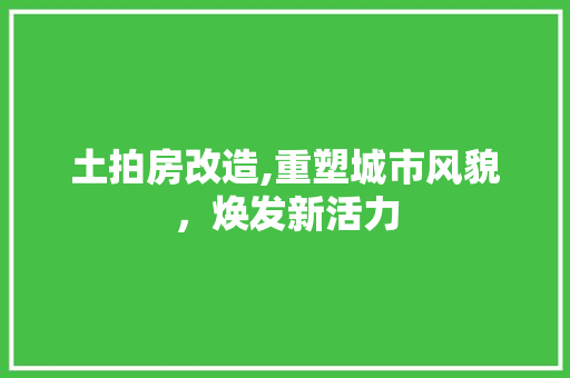 土拍房改造,重塑城市风貌，焕发新活力