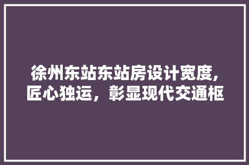 徐州东站东站房设计宽度,匠心独运，彰显现代交通枢纽之美