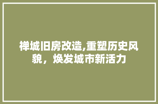 禅城旧房改造,重塑历史风貌，焕发城市新活力