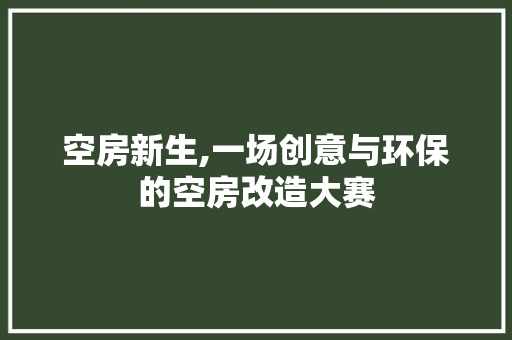 空房新生,一场创意与环保的空房改造大赛