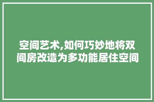 空间艺术,如何巧妙地将双间房改造为多功能居住空间