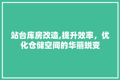站台库房改造,提升效率，优化仓储空间的华丽蜕变