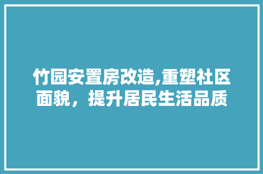 竹园安置房改造,重塑社区面貌，提升居民生活品质