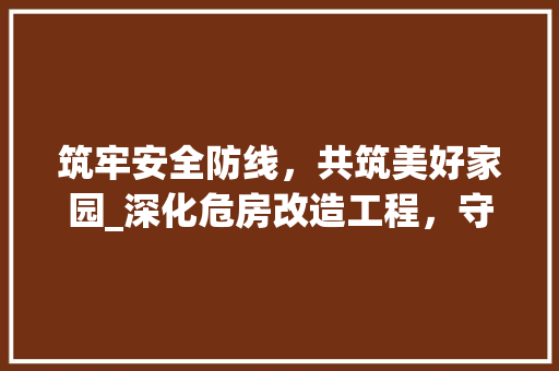 筑牢安全防线，共筑美好家园_深化危房改造工程，守护人民群众生命财产安全