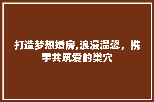 打造梦想婚房,浪漫温馨，携手共筑爱的巢穴