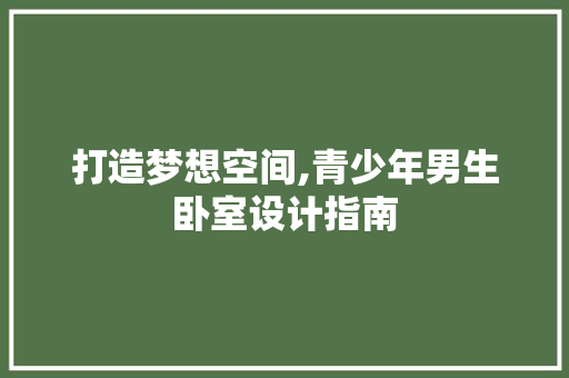 打造梦想空间,青少年男生卧室设计指南
