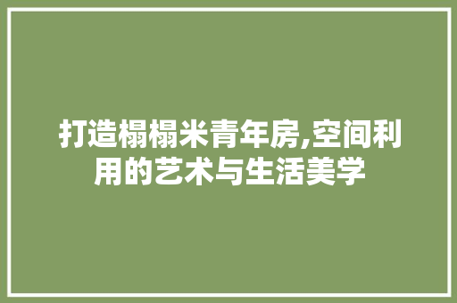 打造榻榻米青年房,空间利用的艺术与生活美学