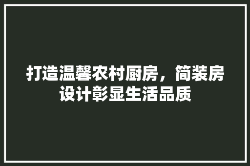 打造温馨农村厨房，简装房设计彰显生活品质