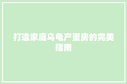 打造家庭乌龟产蛋房的完美指南