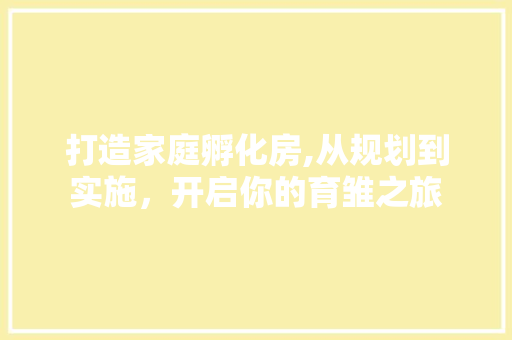 打造家庭孵化房,从规划到实施，开启你的育雏之旅
