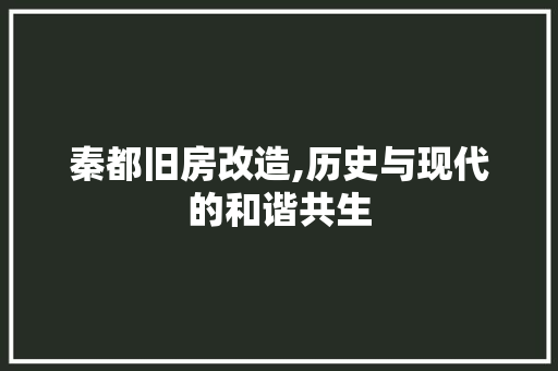 秦都旧房改造,历史与现代的和谐共生