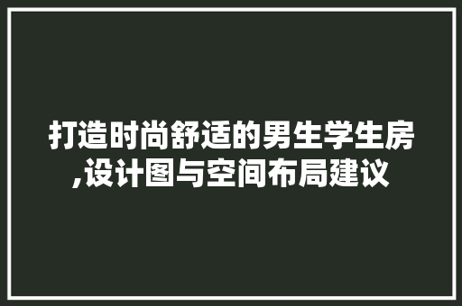 打造时尚舒适的男生学生房,设计图与空间布局建议