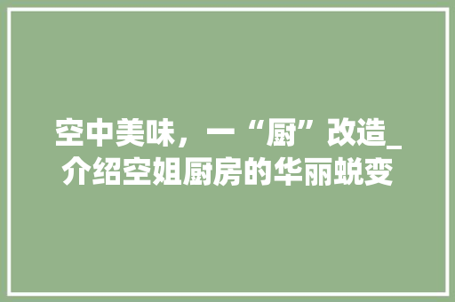 空中美味，一“厨”改造_介绍空姐厨房的华丽蜕变