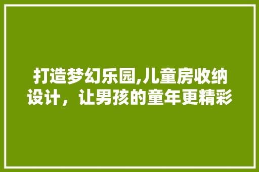 打造梦幻乐园,儿童房收纳设计，让男孩的童年更精彩