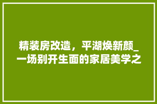 精装房改造，平湖焕新颜_一场别开生面的家居美学之旅