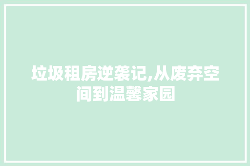 垃圾租房逆袭记,从废弃空间到温馨家园