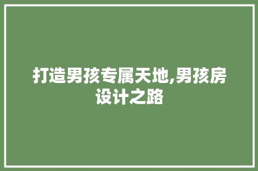 打造男孩专属天地,男孩房设计之路