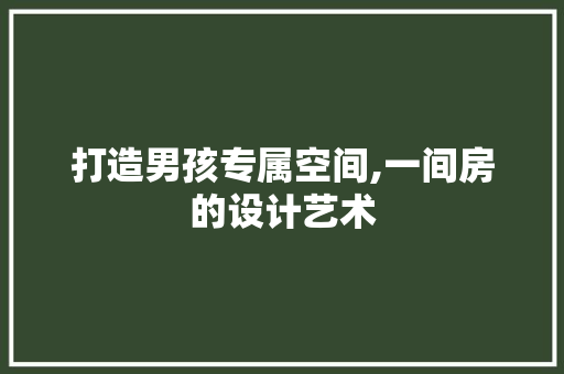 打造男孩专属空间,一间房的设计艺术