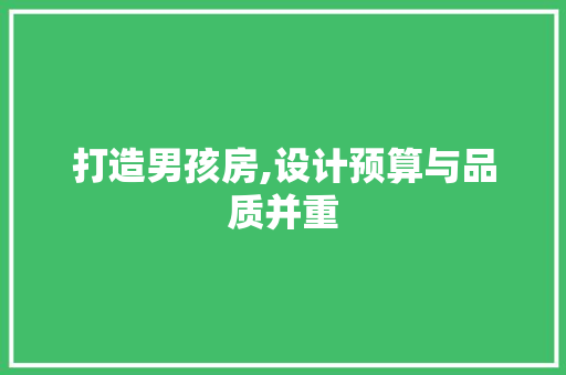 打造男孩房,设计预算与品质并重