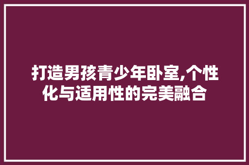 打造男孩青少年卧室,个性化与适用性的完美融合